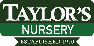Taylor's Nursery